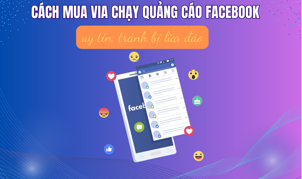 Địa chỉ mua via uy tín, chất lượng, nhiều ưu đãi hấp dẫn 1 Địa chỉ mua via uy tín