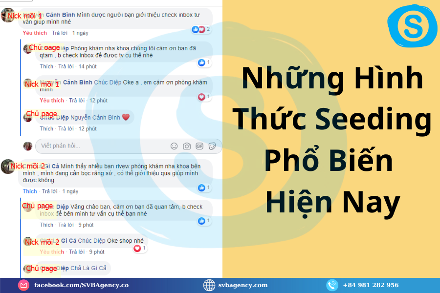 Nhung-Hinh-Thuc-Seeding-Pho-Bien-Hien-Nay-svbagency.com_.png