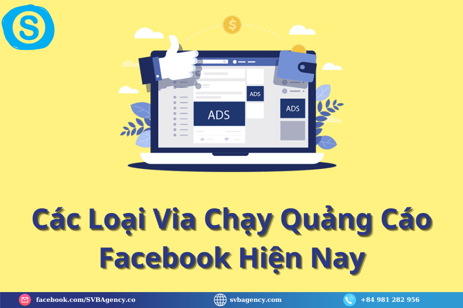 Các Loại Via Chạy Quảng Cáo Facebook Hiện Nay Các Loại Via Chạy Quảng Cáo Facebook Hiện Nay
